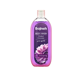 فوم دستشویی بوژنه