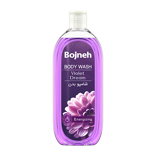 شامپو بدن Violet Dream بنفش 350 گرمی
